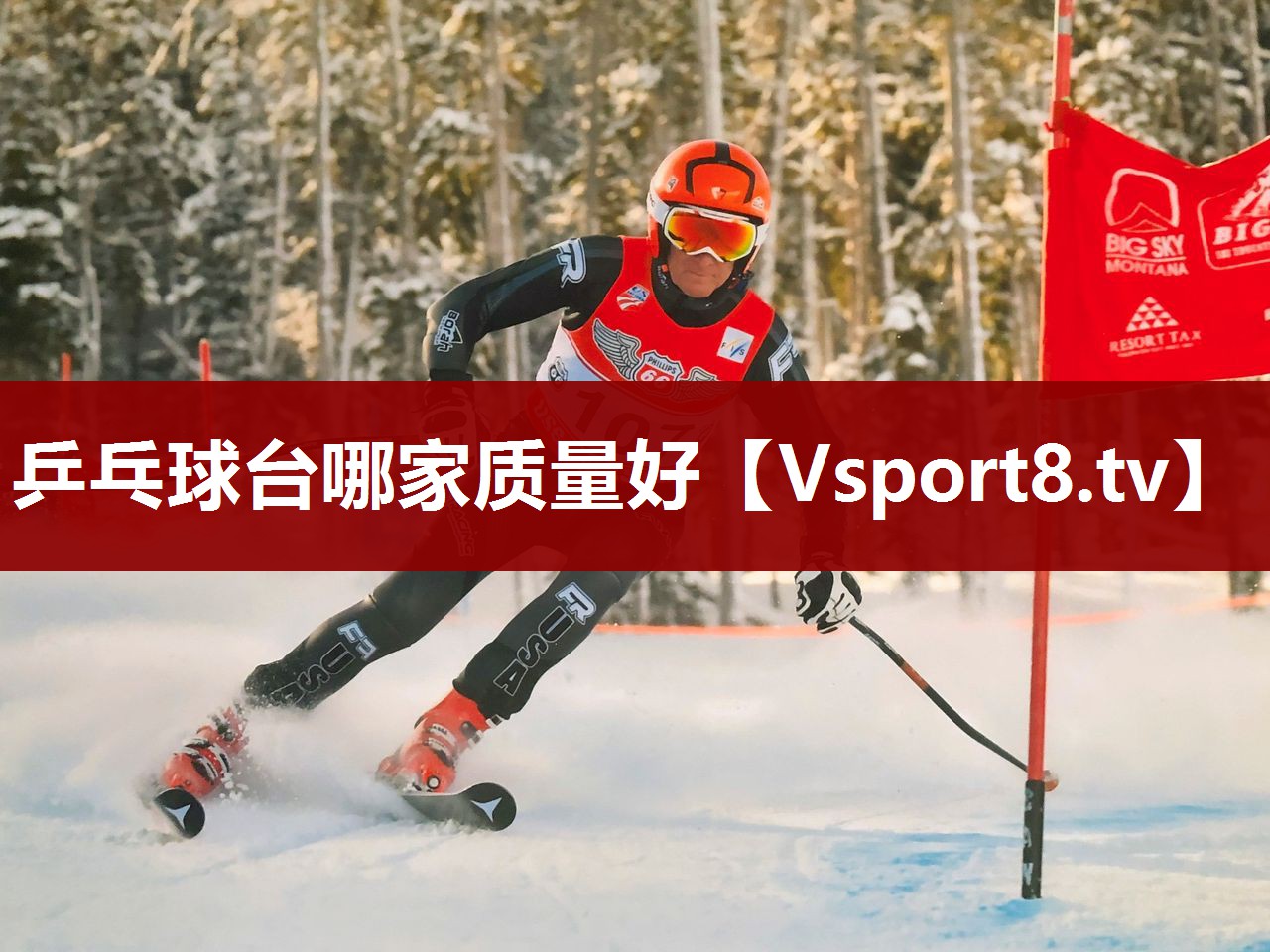 乒乓球台哪家质量好
