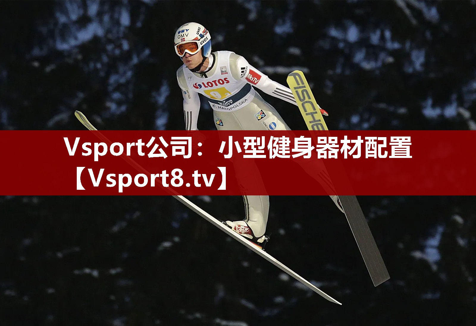 <strong>Vsport公司：小型健身器材配置</strong>