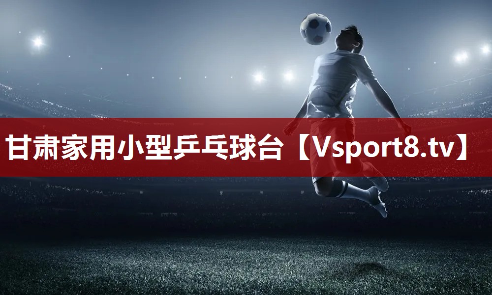 甘肃家用小型乒乓球台