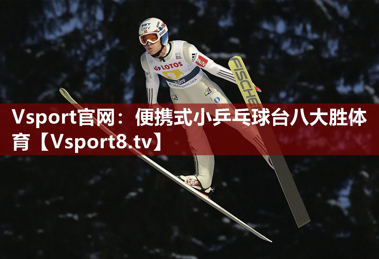 Vsport官网：便携式小乒乓球台八大胜体育
