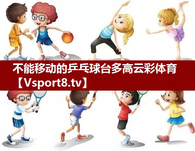 不能移动的乒乓球台多高云彩体育