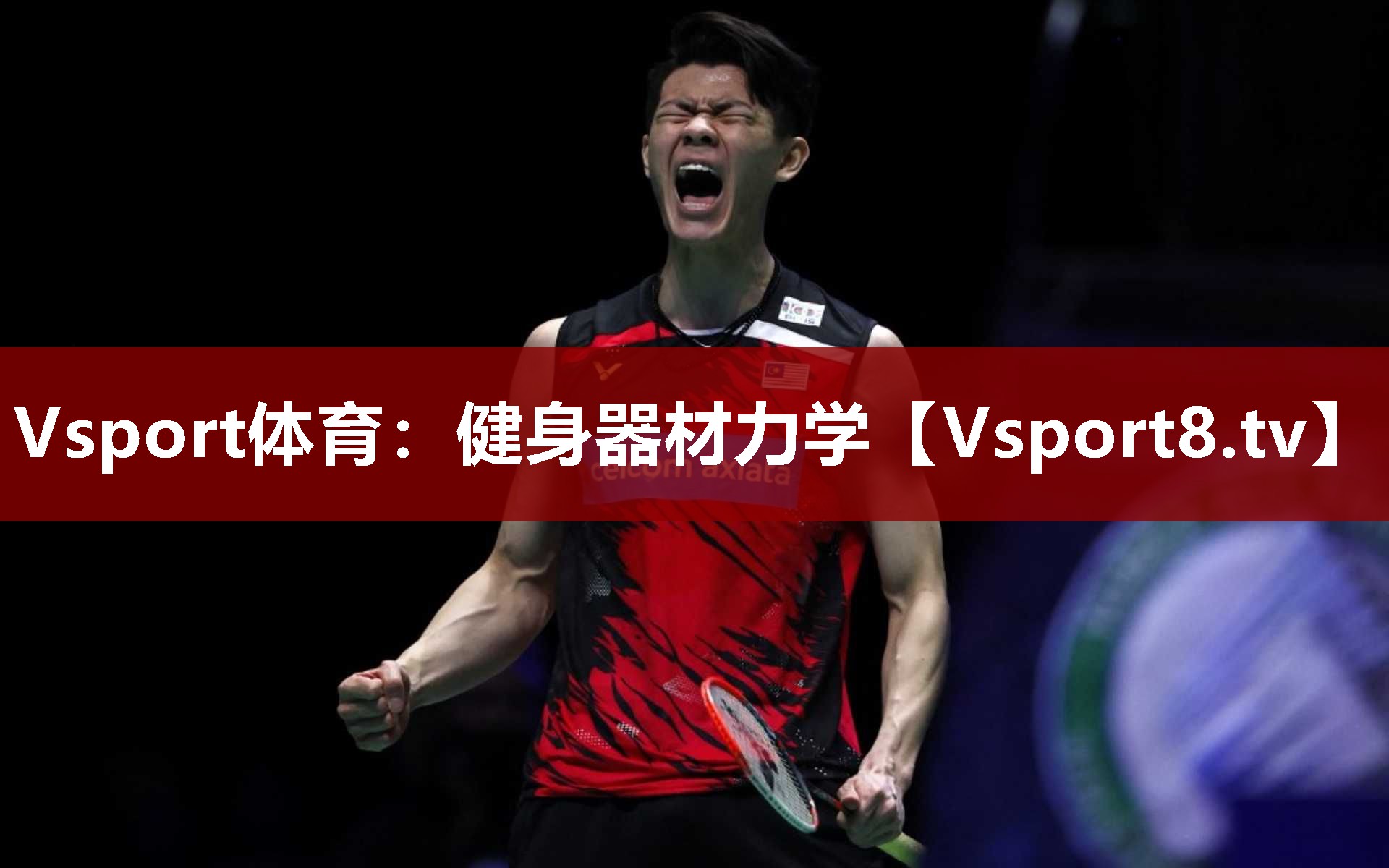 Vsport体育：健身器材力学