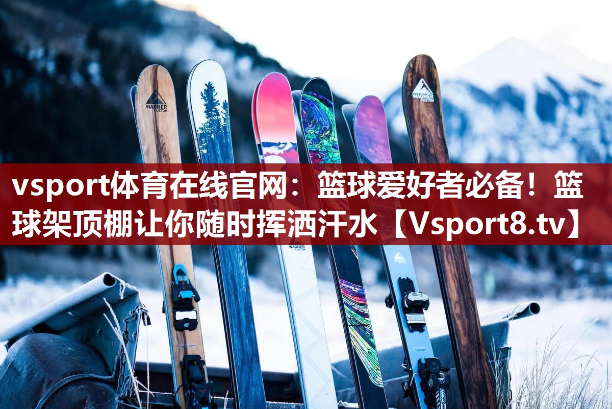 篮球爱好者必备！篮球架顶棚让你随时挥洒汗水